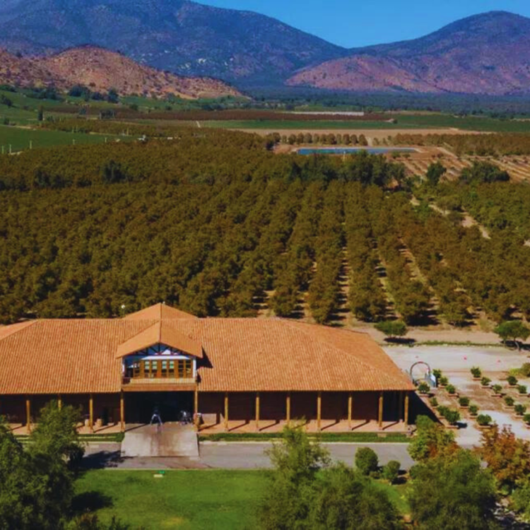 Tours Vinos y Gastronomia